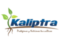 Logo de KALIPTRA